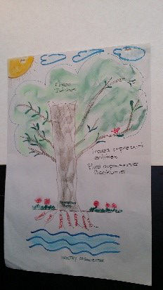 CWEIA strengths