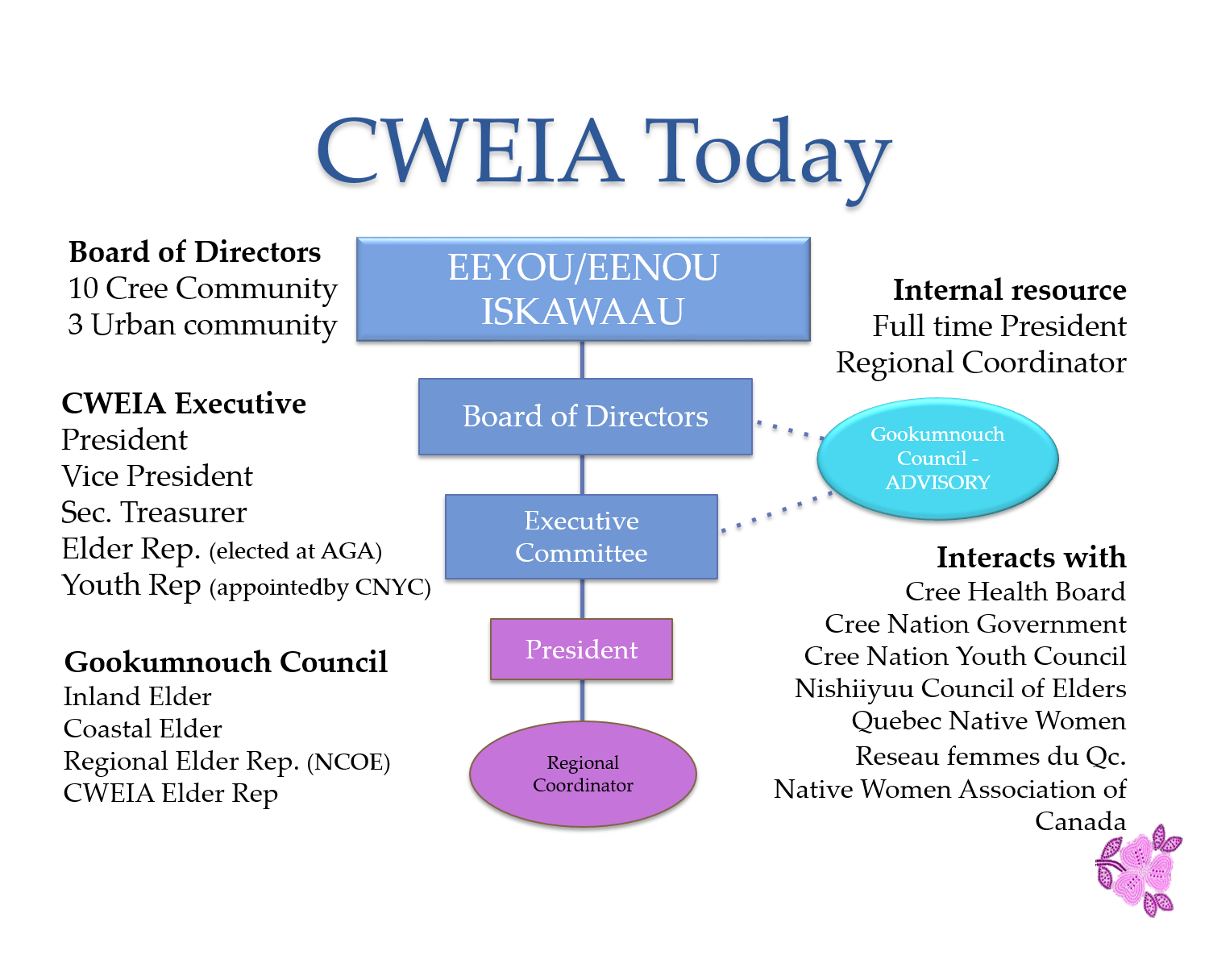 Meet the CWEIA team