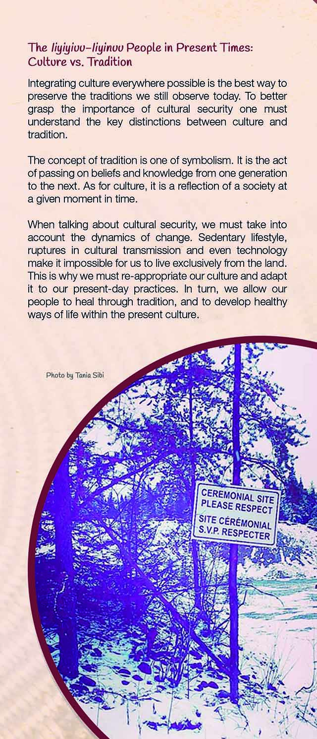Cultural Roots
