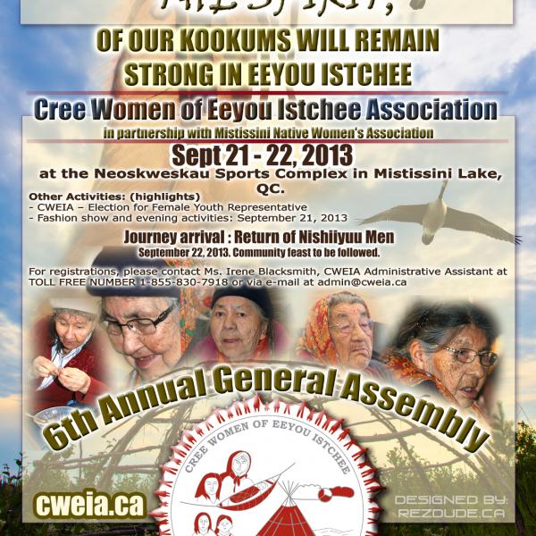 6th AGA Poster (2013)