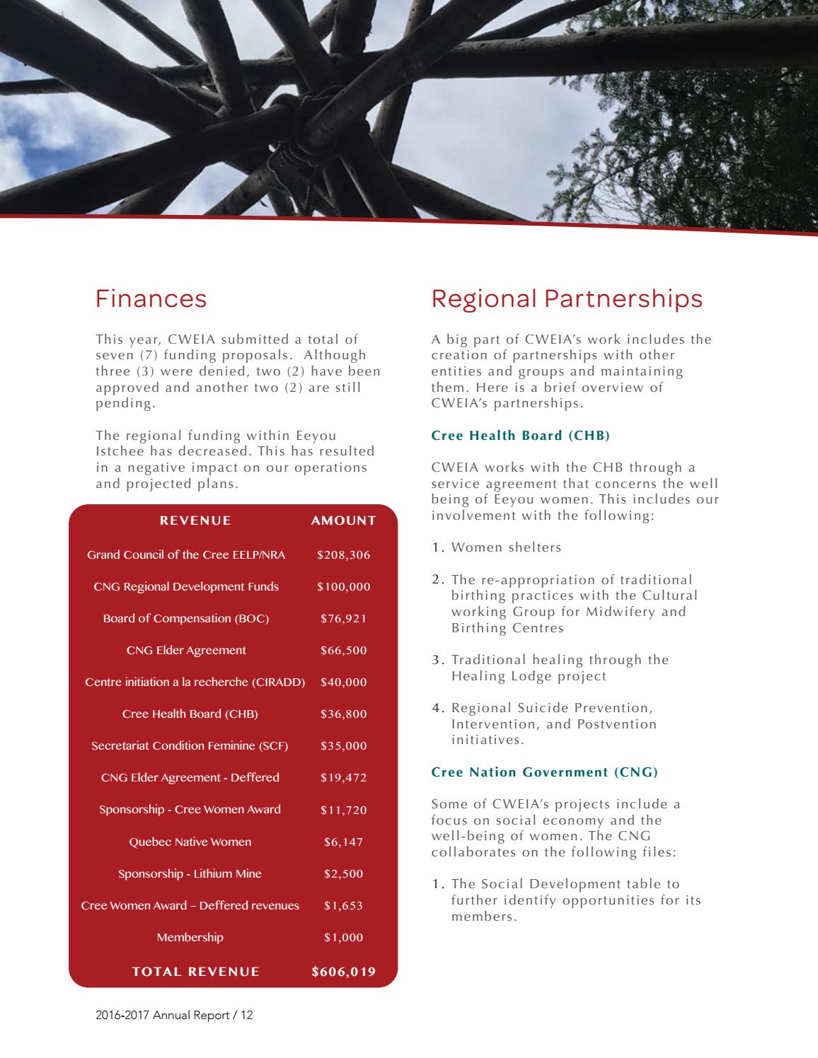 2016-2017 CWEIA Annual Report - page 13