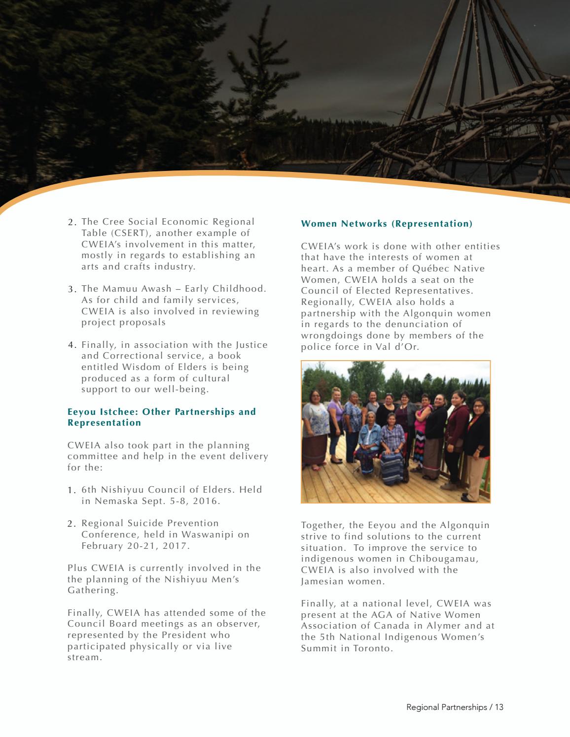 2016-2017 CWEIA Annual Report - page 14