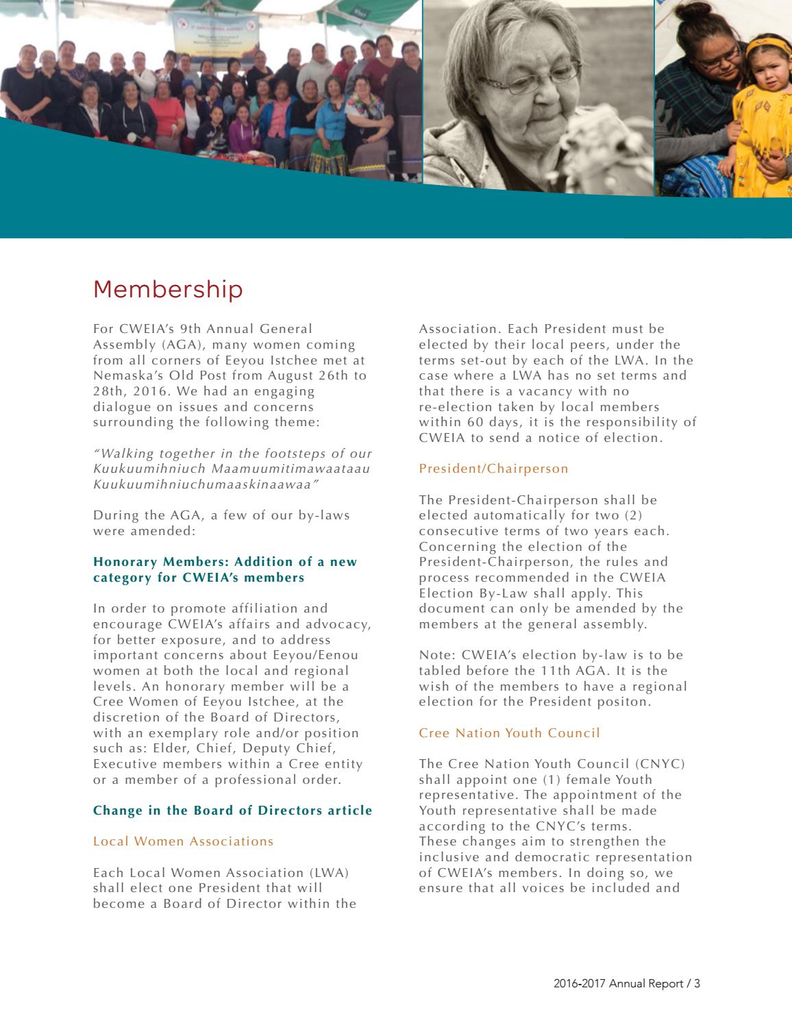 2016-2017 CWEIA Annual Report - page 4