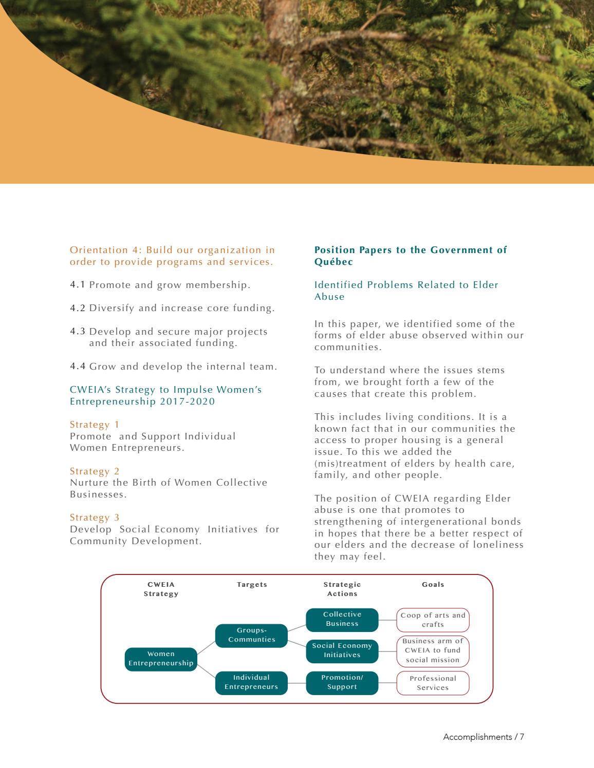 2016-2017 CWEIA Annual Report - page 8